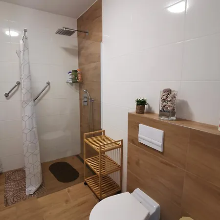 Pod Svatym Hostynem 公寓 *